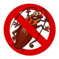 سوسک-درشت-300x300-1